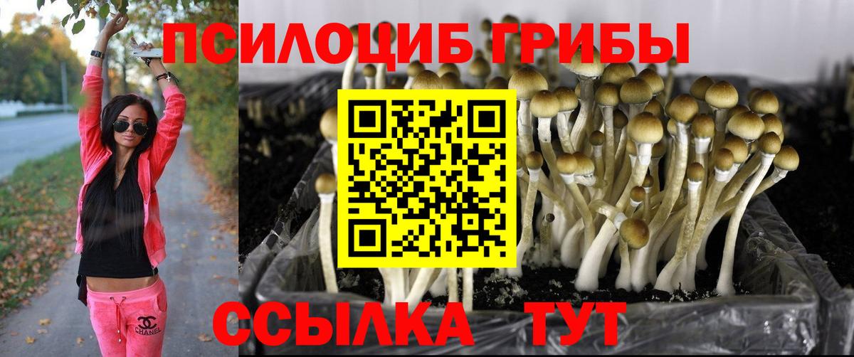 Галлюциногенные грибы Magic Shrooms  даркнет сайт  Киреевск  Вход с VPN 