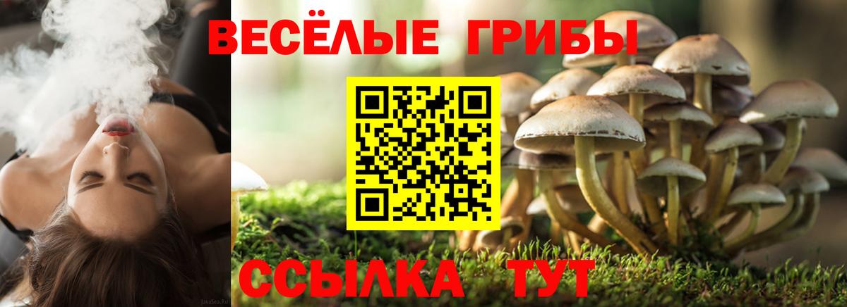 Галлюциногенные грибы MAGIC MUSHROOMS Киреевск